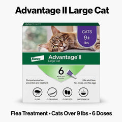 Advantage II for Large Cats | Over 9 lbs | Flea Treatment & Prevention | 6 Month Supply (6 Doses) - Hamxi