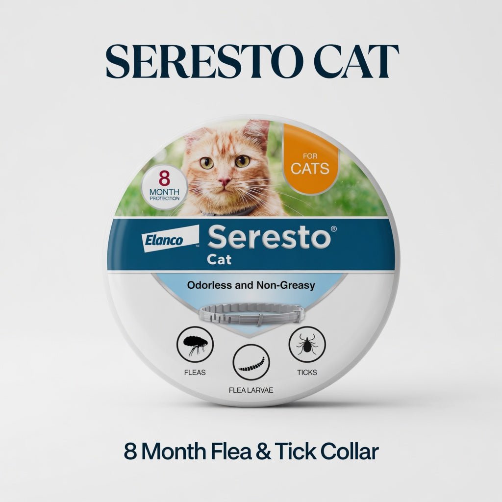 DrPawsShop 8 Months Flea and Tick Free Collar | Long - Lasting Protection for Cats & Dogs - Hamxi