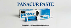 Panacur Paste 10% (Fenbendazole) | Equine Dewormer | FDA - Approved for Encysted Small Strongyles - Hamxi