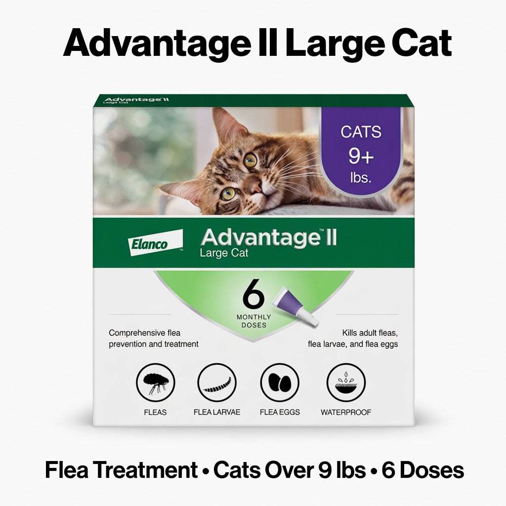 Advantage II for Large Cats | Over 9 lbs | Flea Treatment & Prevention | 6 Month Supply (6 Doses) - Hamxi