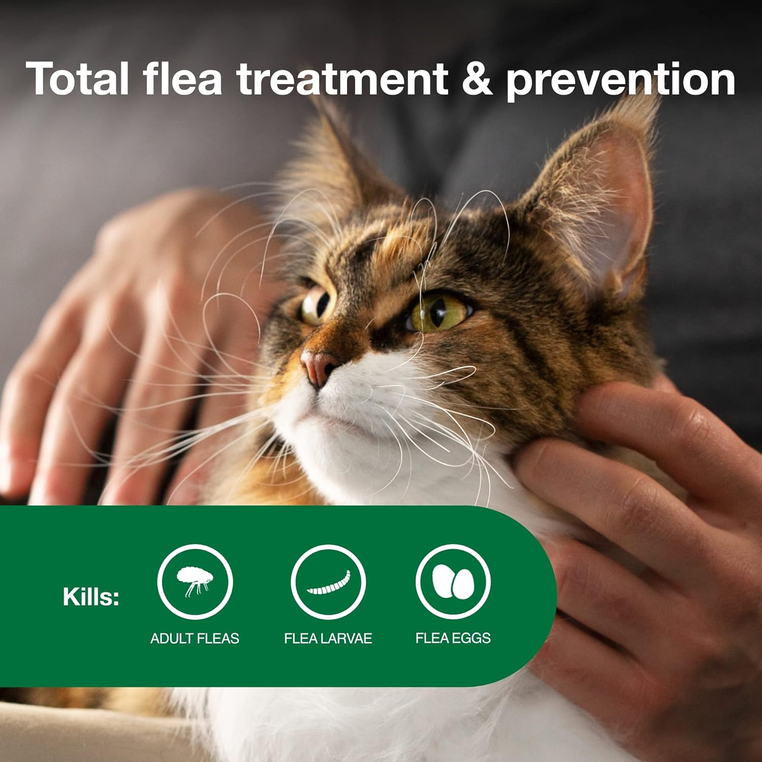 Advantage II Large Cat Flea Treatment | Over 9 lbs | 6-Month Supply - Hamxi