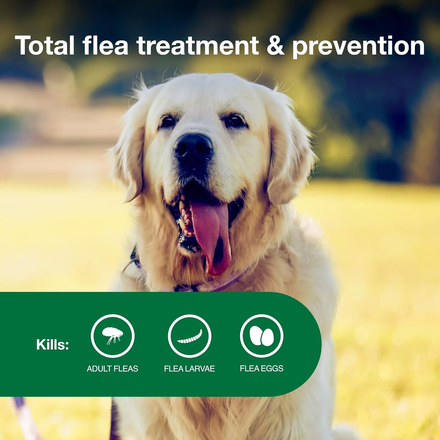 Advantage II Large Dog Flea Treatment | 21-55 lbs | 6-Month Supply - Hamxi