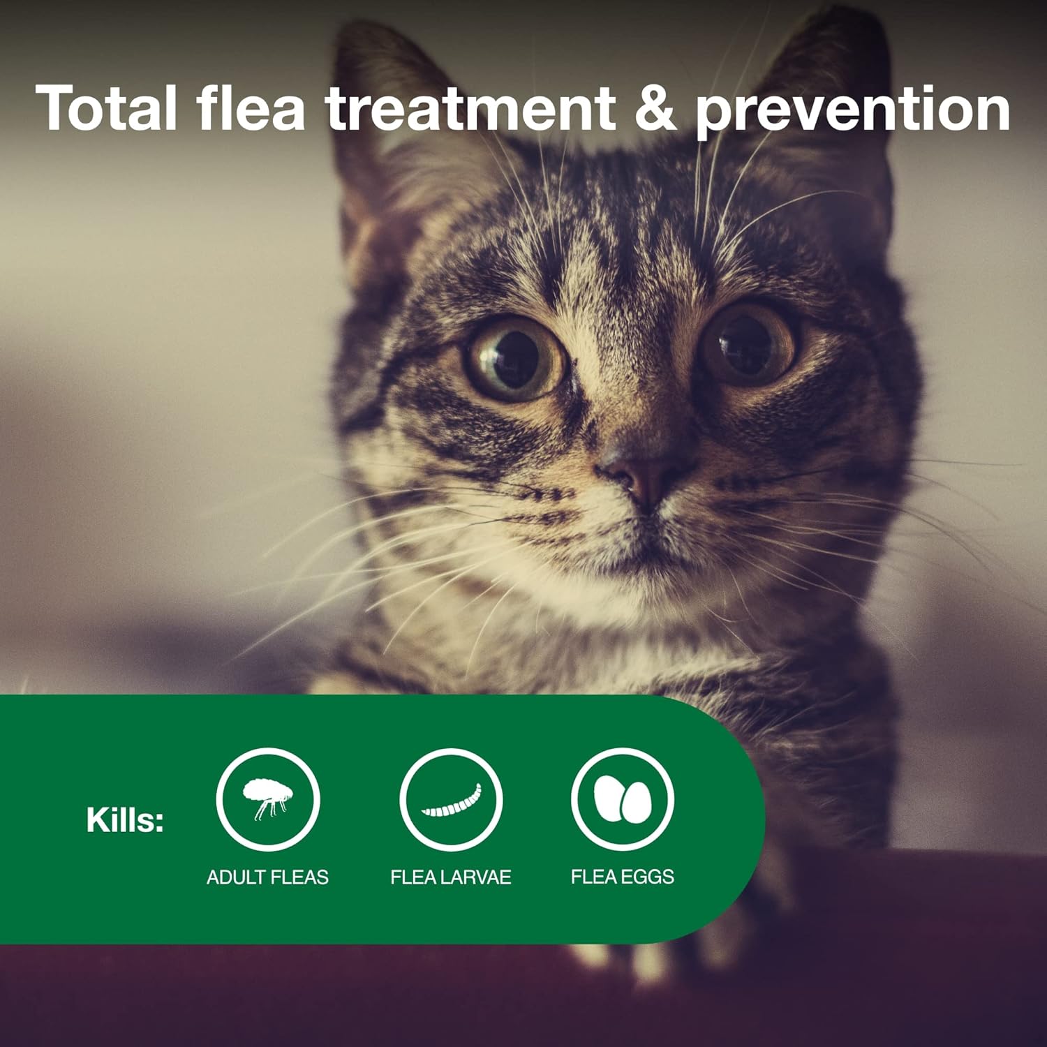 Advantage II Small Cat Flea Treatment | 5-9 lbs | 6-Month Supply - Hamxi