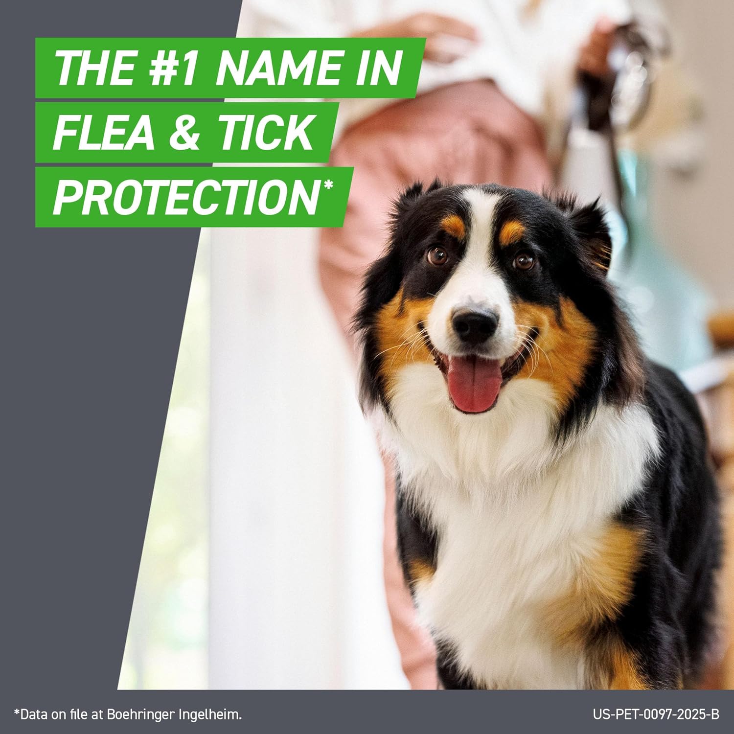 Frontline Plus Flea & Tick Treatment for Small Dogs | 5-22 lbs | 6 Doses - Hamxi