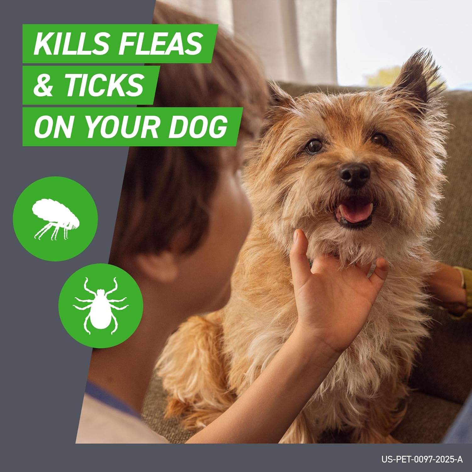Frontline Plus Flea & Tick Treatment for Small Dogs | 5-22 lbs | 6 Doses - Hamxi