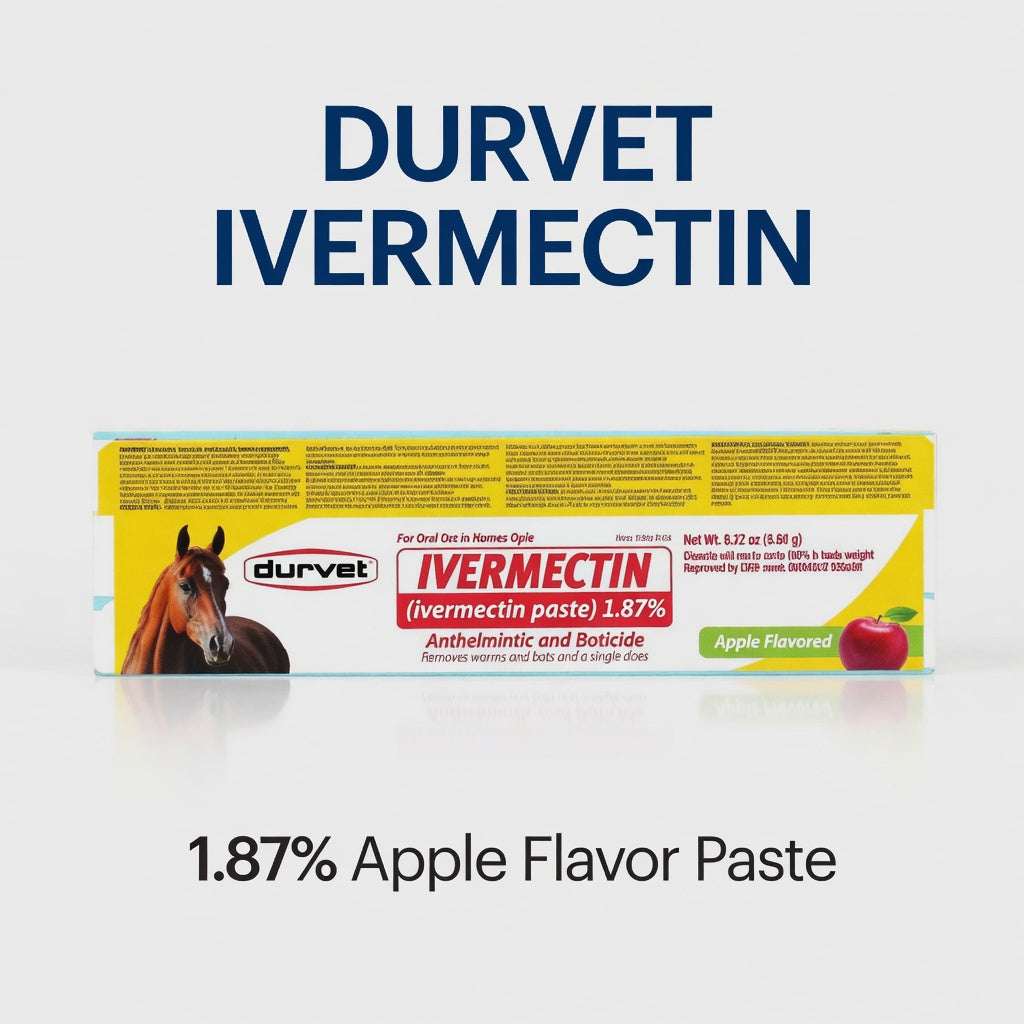 Ivermectin Paste Horse Dewormer | Apple Flavor | 1.87% | Equine Wormer | Exp 12/25 - Hamxi