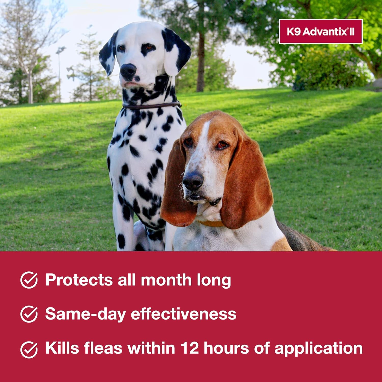 K9 Advantix II Flea, Tick & Mosquito Treatment | Small Dogs 4-10 lbs | 6-Month Supply - Hamxi