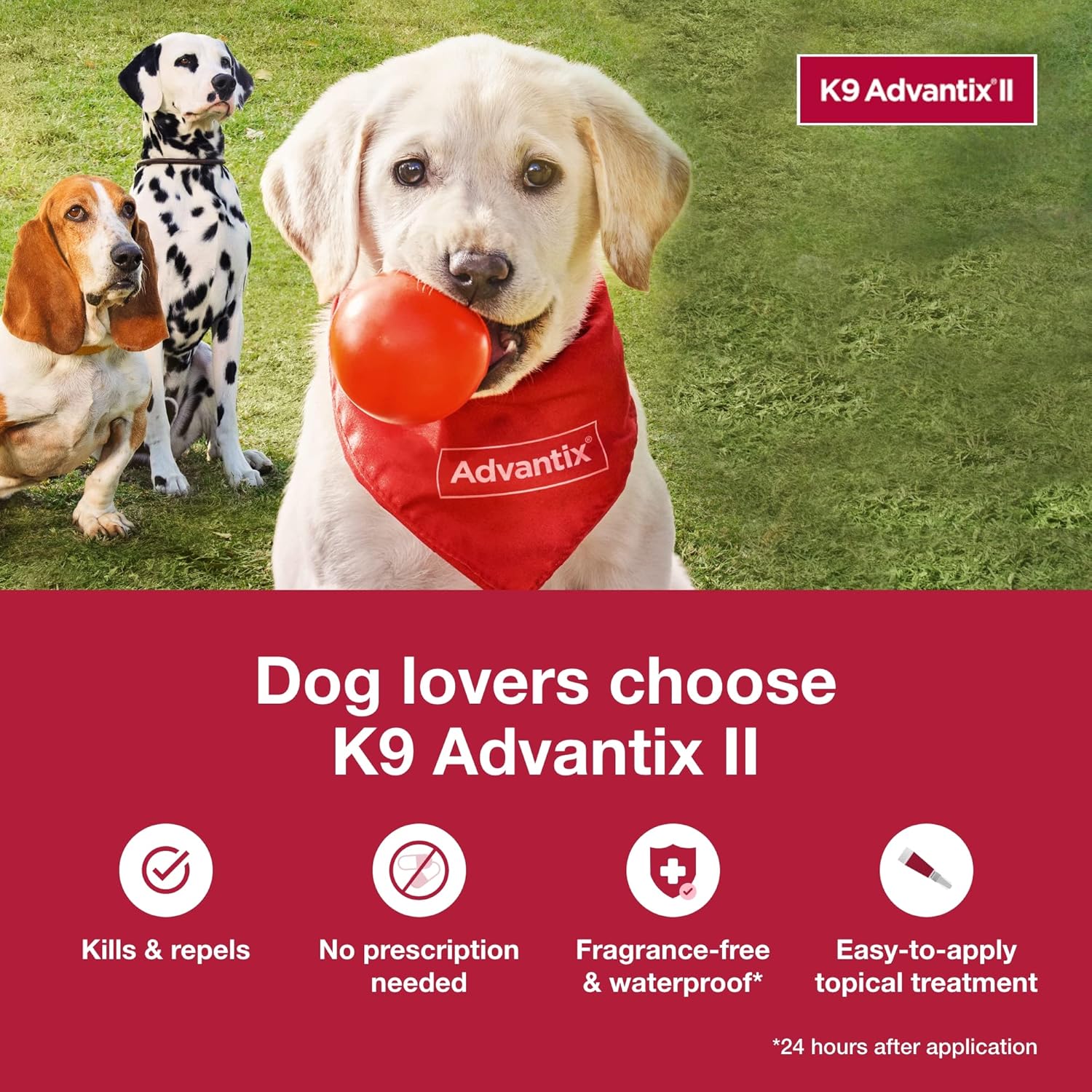 K9 Advantix II XL Flea, Tick & Mosquito Treatment | Over 55 lbs | 6-Month Supply - Hamxi