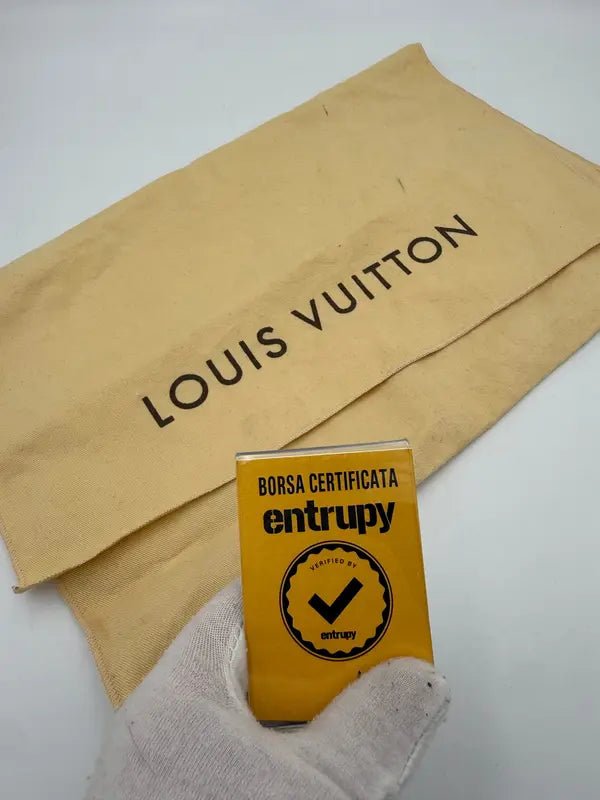 Louis Vuitton Metis Monogram Handbag - Hamxi