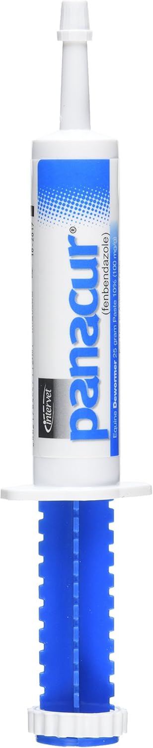 Panacur (Fenbendazole) Equine Dewormer Paste | 25g (10%) | Single Syringe - Hamxi