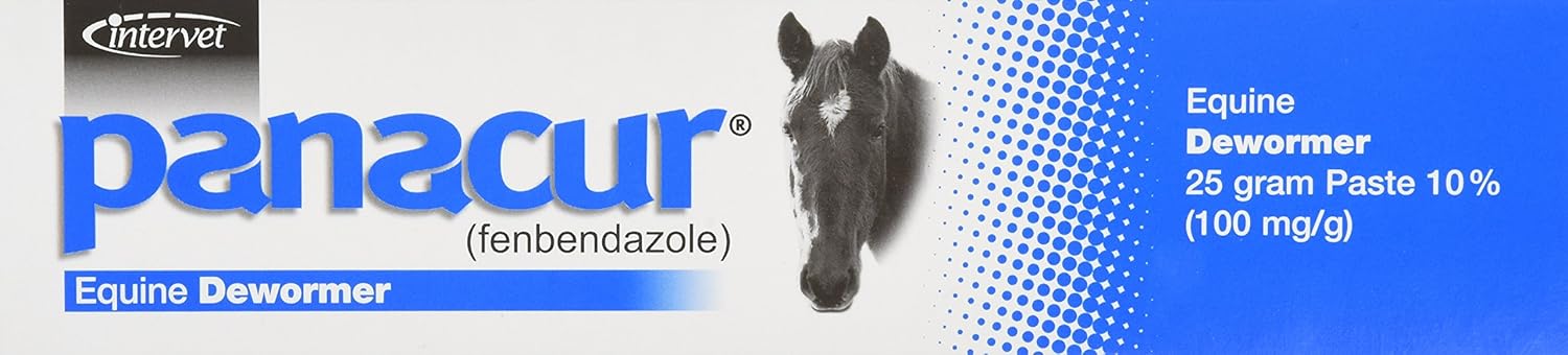 Panacur (Fenbendazole) Equine Dewormer Paste | 25g (10%) | Single Syringe - Hamxi