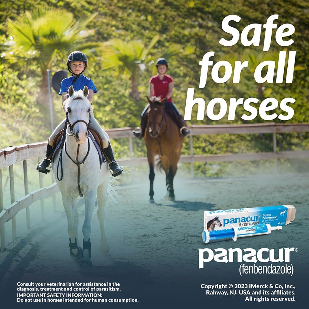 Panacur (Fenbendazole) Equine Dewormer Paste | 3-Pack | 25g (10%) - Hamxi