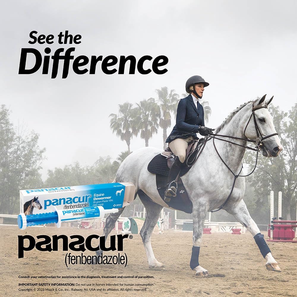 Panacur (Fenbendazole) Equine Dewormer Paste | 3-Pack | 25g (10%) - Hamxi