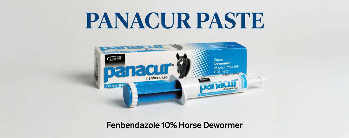 Panacur Paste 10% (Fenbendazole) | Equine Dewormer | FDA - Approved for Encysted Small Strongyles - Hamxi