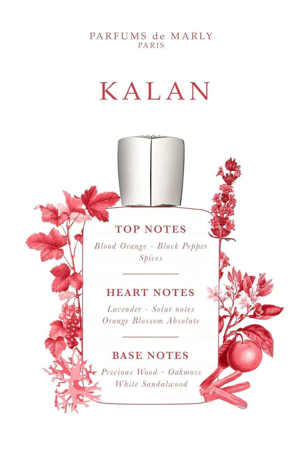 PARFUMS de MARLY Kalan – Men's EDP – 125ml / 4.2oz - Hamxi