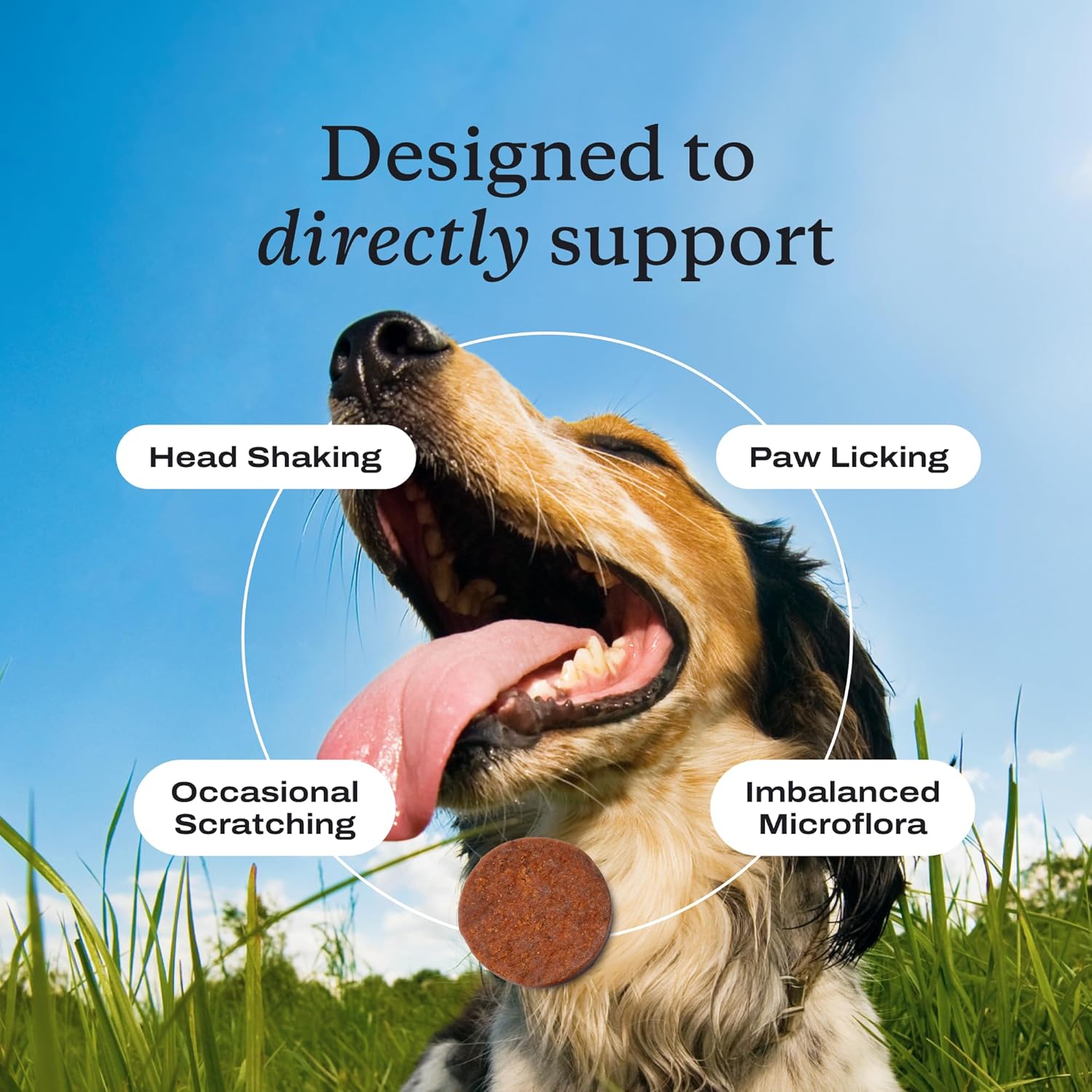 PetLab Co. Allergy & Immune Probiotics for Dogs | 30 Soft Chews | Gut Health | Pork - Hamxi