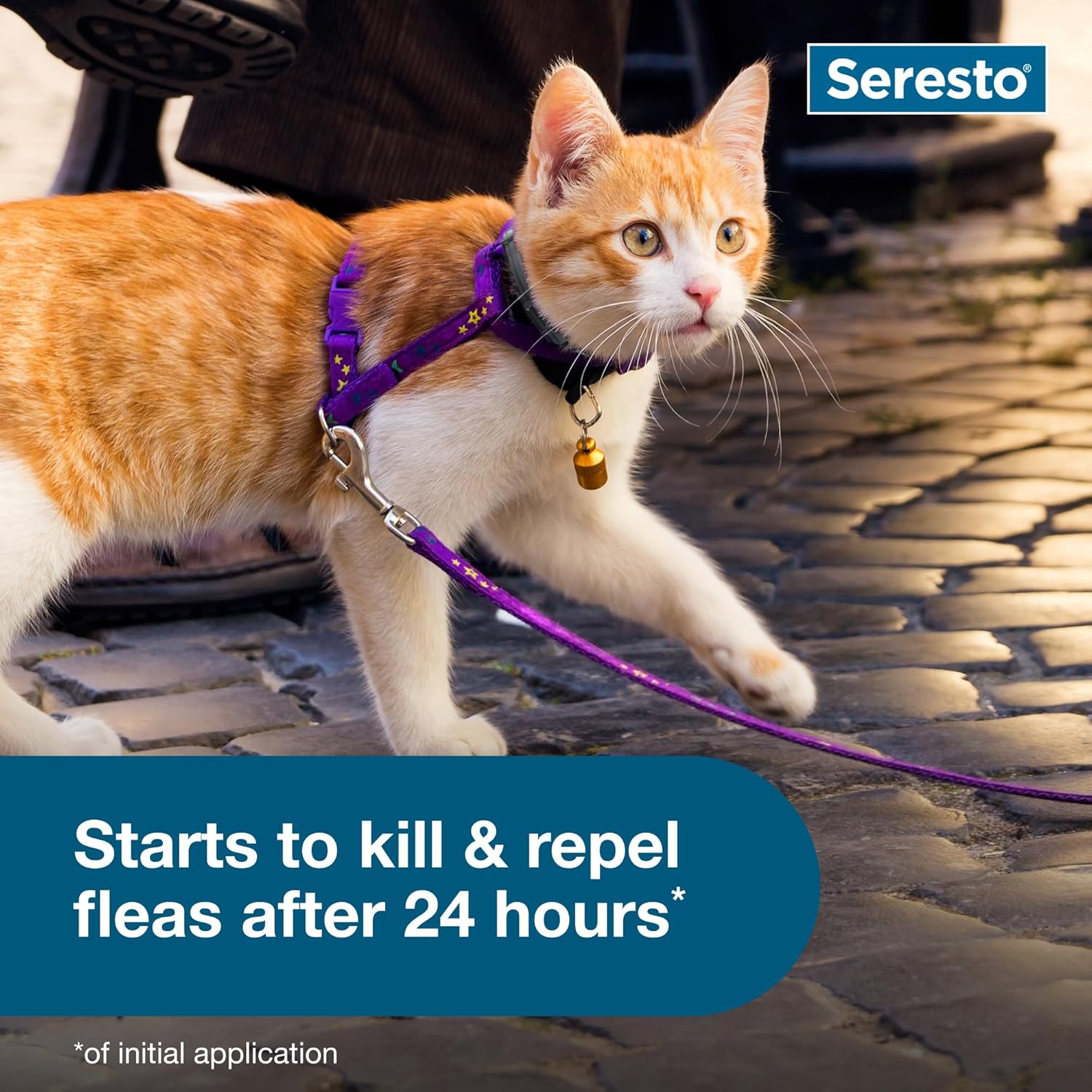 Seresto Cat Flea & Tick Collar | 8 Months Protection | Vet-Recommended - Hamxi