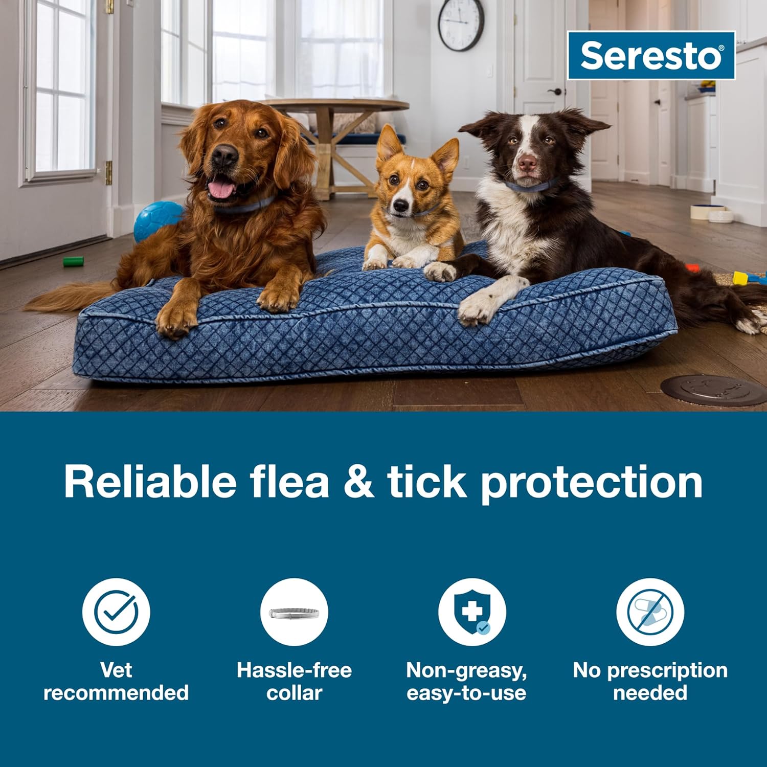 Seresto Flea & Tick Collar for Dogs Over 18 lbs | 8-Month Protection - Hamxi